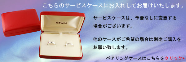 サービスケース