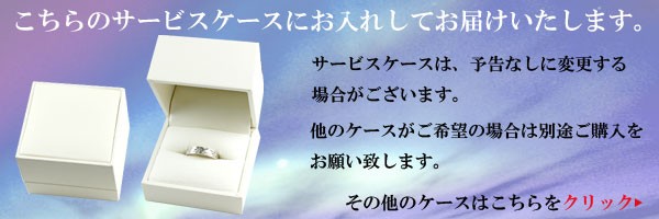 サービスケース