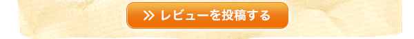レビューを投稿する