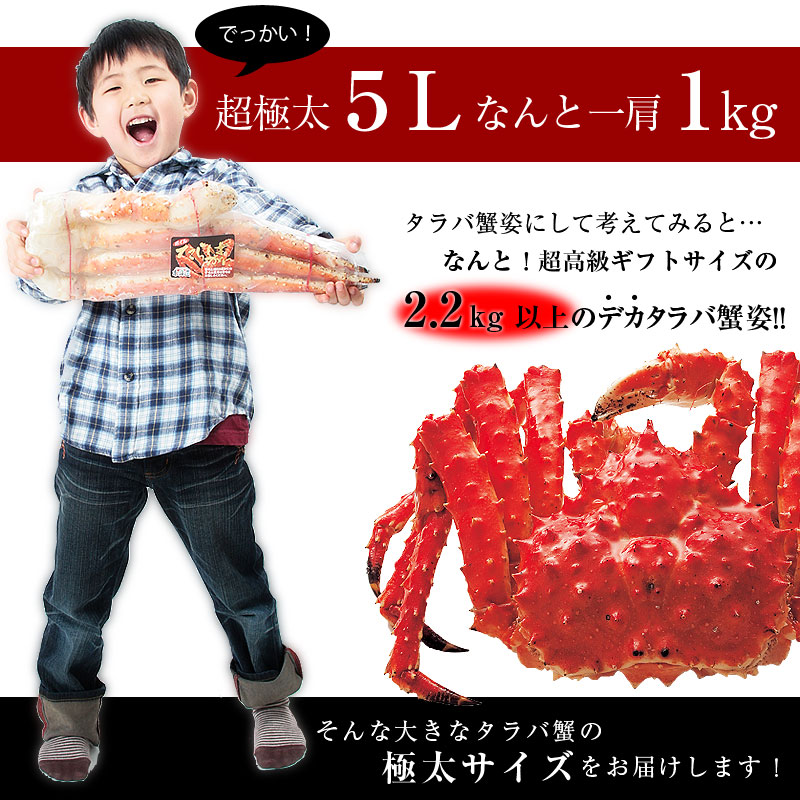 極太タラバガニ足5L訳あり