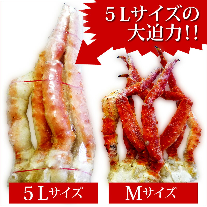 極太タラバガニ足5L訳あり